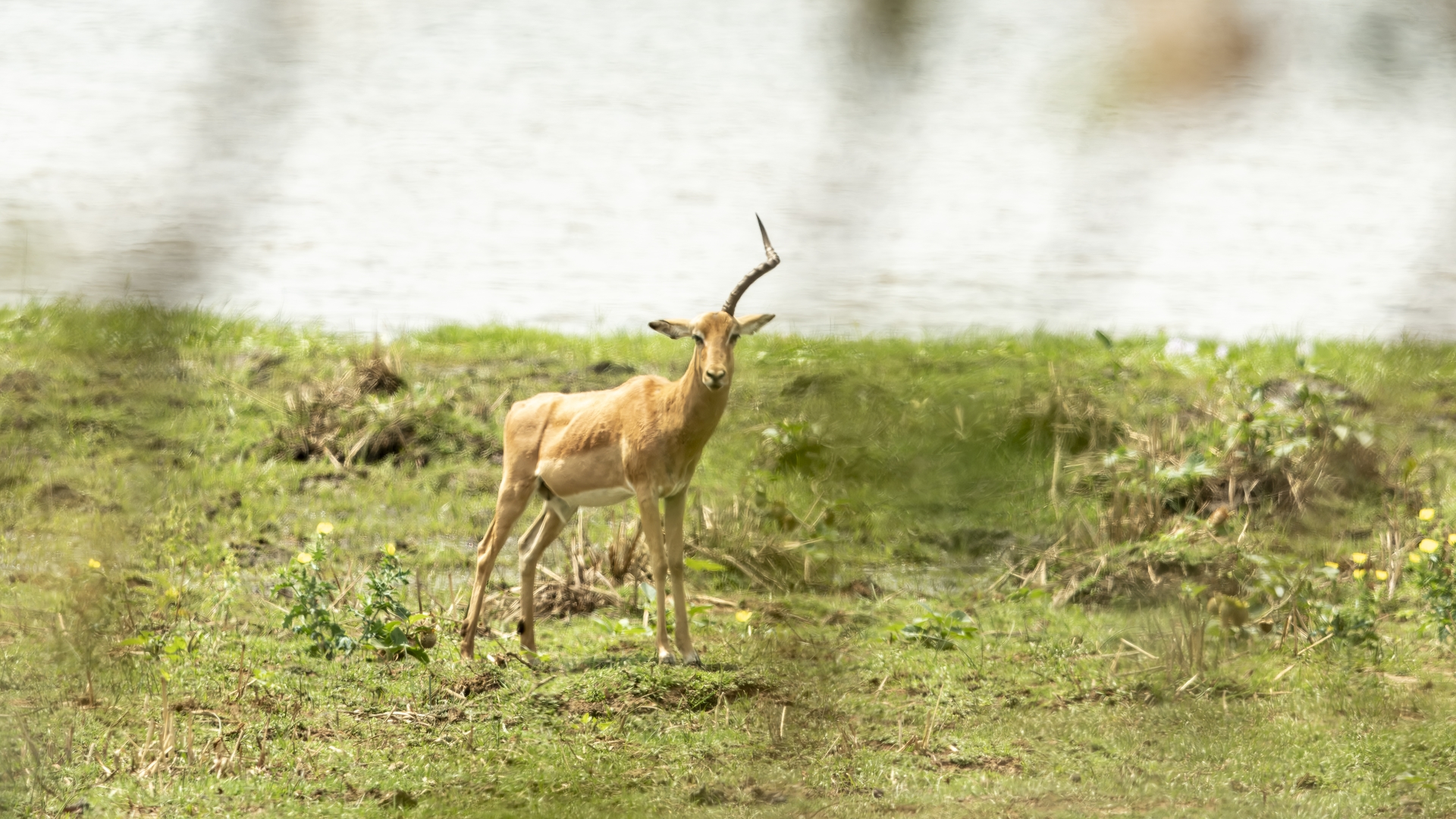 Kruger25 2025 11 04 13 03 46 ILCE 1M2 1905